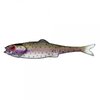 FINESSE FILET 7CM RAINBOW TROU